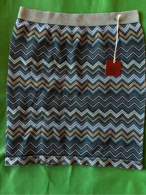 Poof! Muticolored Zigzag/Chevron Knit Mini Skirt